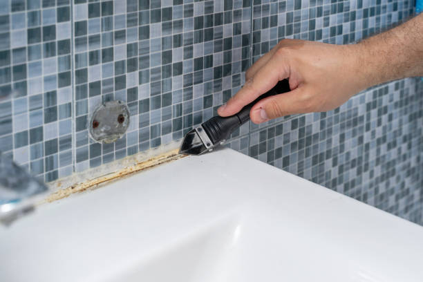 Best Fast Mold Removal  in Pine Hill, NJ