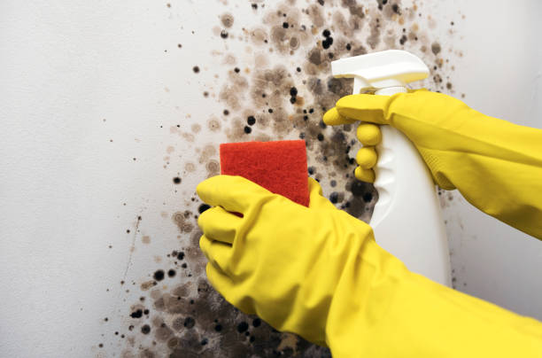 Water Damage Restoration in Pine Hill, NJ